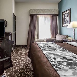 King Room Accessible or Non-Smoking